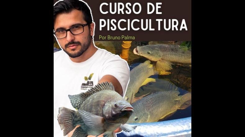Piscicultura Por Bruno Palma é bom? Piscicultura Por Bruno Palma posso confiar?