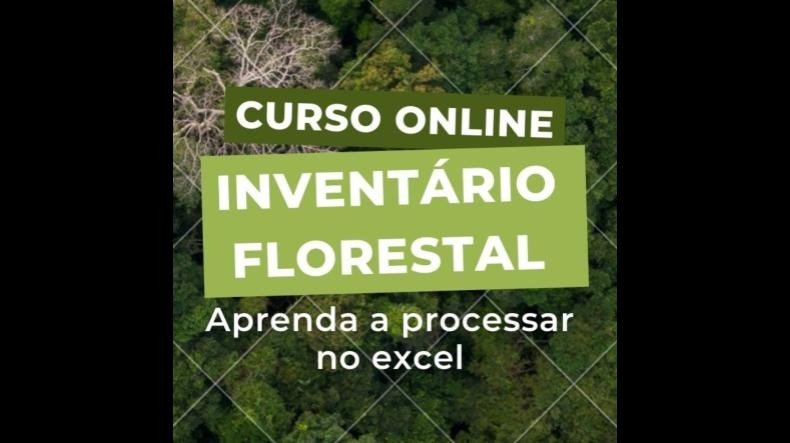 Inventário Florestal com Excel é bom? Inventário Florestal com Excel posso confiar?