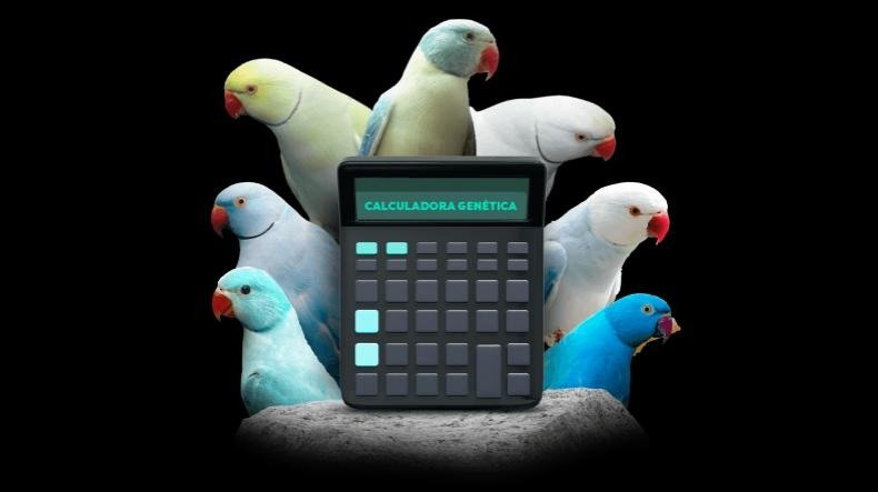 CALCULADORA GENÉTICA é bom? CALCULADORA GENÉTICA posso confiar?