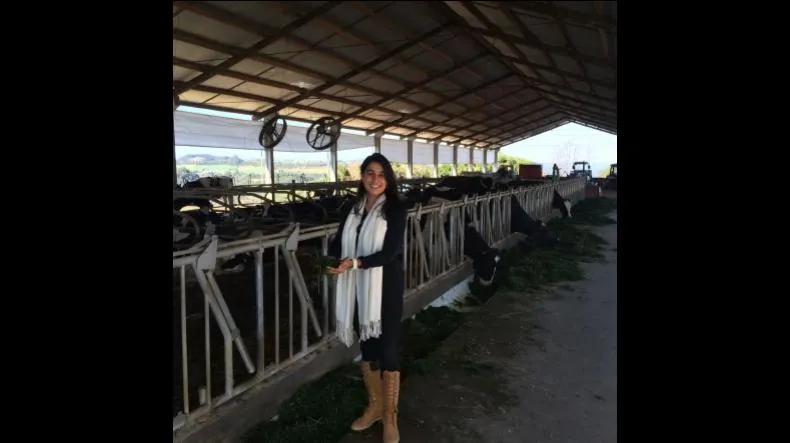 COMUNIDADE DO QUEIJO é bom? COMUNIDADE DO QUEIJO posso confiar?