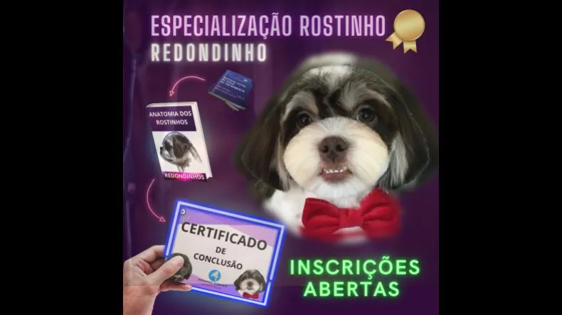 Especialização Rostinho Redondinho é bom? Especialização Rostinho Redondinho posso confiar?