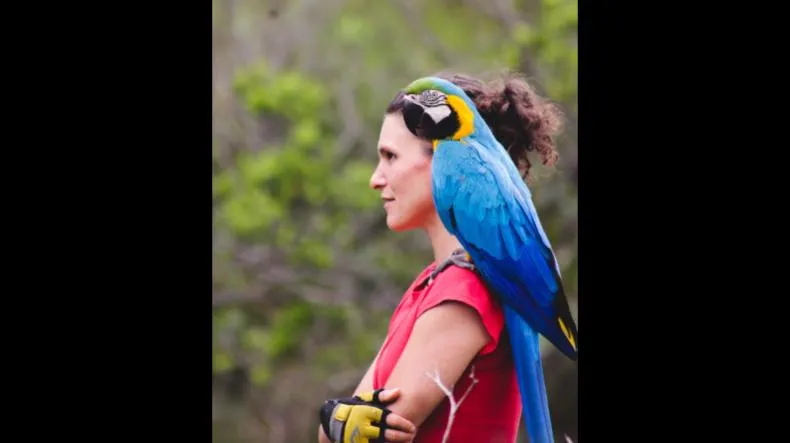 Curso de Voo Livre da AVOA é bom? Curso de Voo Livre da AVOA posso confiar?