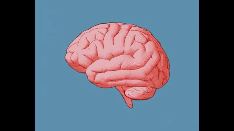 Hackers do Estudo é bom? Hackers do Estudo posso confiar?