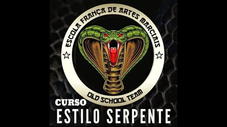 Curso Estilo Serpente é bom? Curso Estilo Serpente posso confiar?