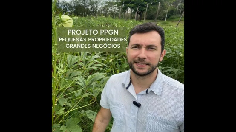 Curso Projeto PPGN é bom? Curso Projeto PPGN posso confiar?