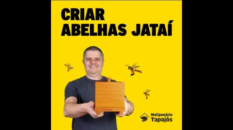 Curso Criar Abelhas Jataí é bom? Curso Criar Abelhas Jataí posso confiar?