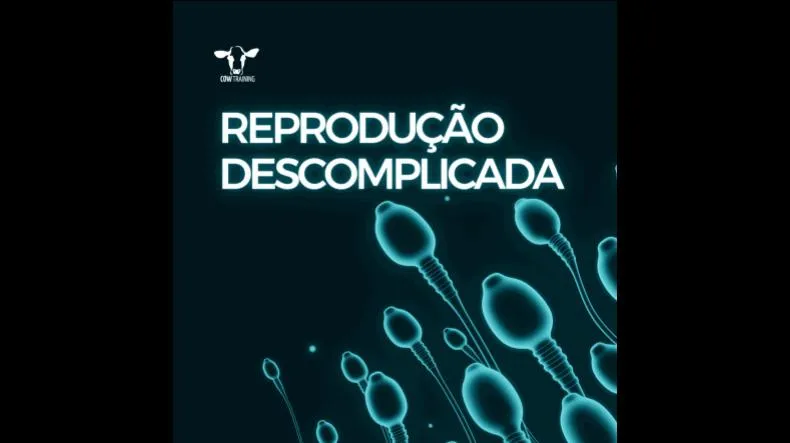 Curso Reprodução Descomplicada é bom? Curso Reprodução Descomplicada posso confiar?
