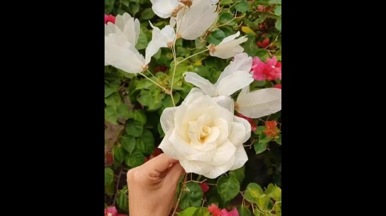 Curso De Esqueletização De Folhas é bom? Curso De Esqueletização De Folhas posso confiar?