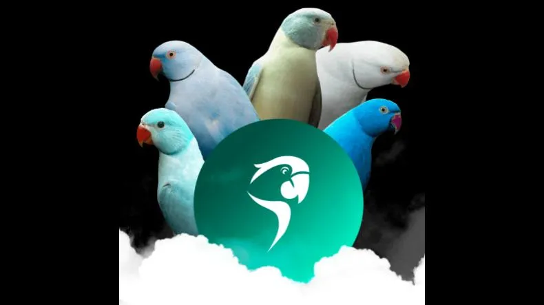 Galpão das Aves é bom? Galpão das Aves posso confiar?