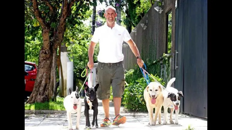 Curso Cão Ativo de Fernando Baiardi é confiável mesmo?