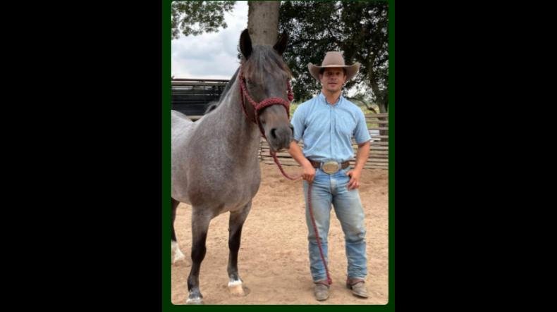 Método Domador de Sucesso de André Pedroso é confiável mesmo?